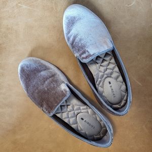Birdies Starling velvet loafers, 6